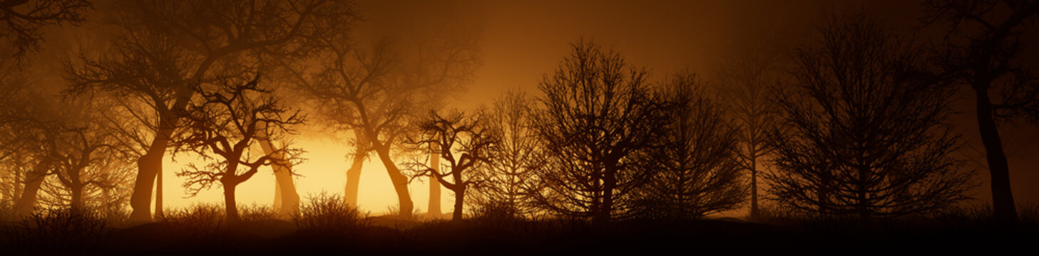 Winter Trees Silhouetted in Orange Fog. Dramatic, Snow covered Woodland scene. Seasonal Banner.
