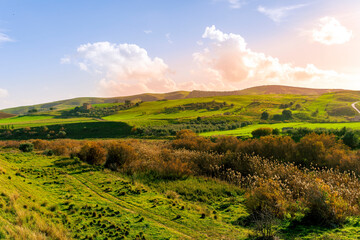 green landscape of spring field with green young grass and amazing hills on background