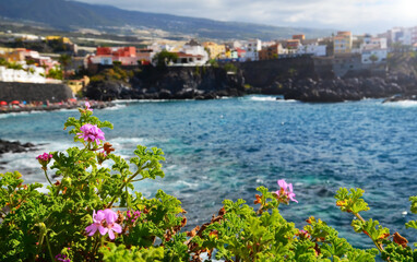 Picturesque view in Alcala village with blooming geranium plants in the foreground in Tenerife, Canary islands,Spain.Selective focus.