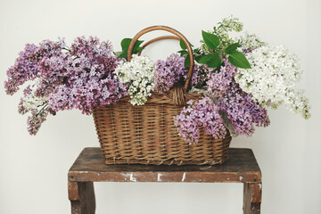 Beautiful lilac flowers in wicker basket on wooden chair. Spring rustic still life on rural background. Purple and white lilacs composition in home. Happy mothers day