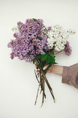 Hand holding beautiful lilac flowers against white wall. Female in linen dress with lilac flowers, cropped view. Authentic moody moment. Rustic wedding