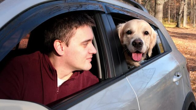 A young man and his dog sit in the car and look out the window. A young man with a golden retriever on a car trip in an autumn forest
