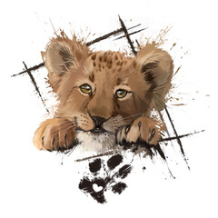 Portrait of a lion cub in grunge style
