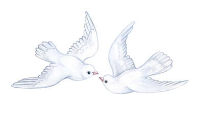Fototapeta premium Pigeons doves birds isolated on white background. Watercolor illustration. invitation, wedding. Template Clip art