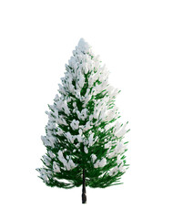 Christmas tree in snow isolated on white background.