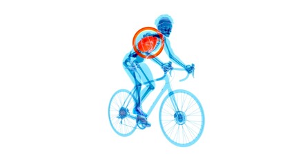 Fototapeta na wymiar 4K anatomy of a X-ray cyclist riding