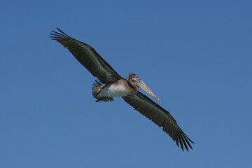 In Volo sul Mare