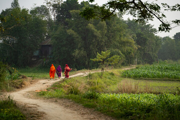 Walking on Village Road