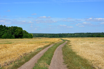 Fototapeta na wymiar country road going through the dry agricultural field to horizon with blue sky and forest