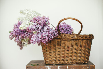 Fototapeta na wymiar Beautiful lilac flowers in wicker basket on wooden chair. Spring rustic still life on rural background. Purple and white lilacs composition in home. Happy mothers day