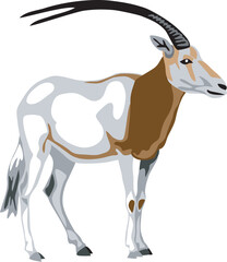 Scimitar oryx - vector illustration