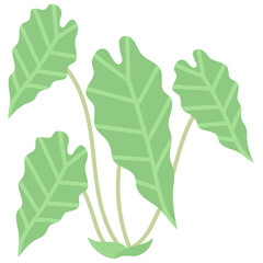 LEAF