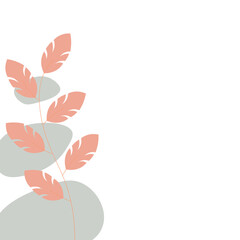 Boho Plant Corner