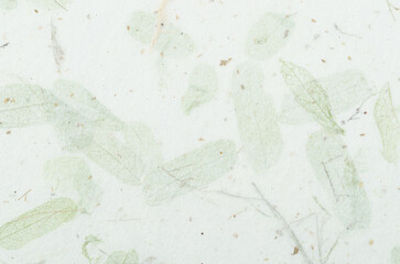  The mulberry paper texture, Top view Detail of green paper, background for aesthetic creative design