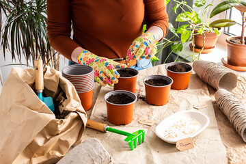 The process of planting sweet pepper seeds in plastic and peat eco friendly forms, a bag of earth...