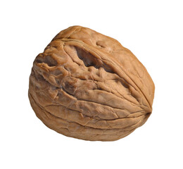 walnut shell isolated on layered png format background.