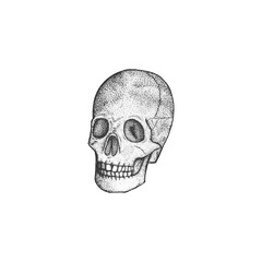 Human skull hand drawn icon isolated on white background. Human skull in black and white style
