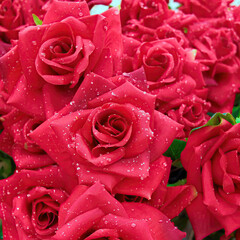 Bright red artificial handmade roses with water drops bouquet, floral background.