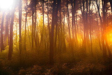 sunrise in the forest. Simple forest background. forest backdrop. Forest sunrise. forest sunset. AI generated.