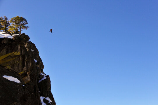 Pro skier Josh Daiek performs a double backflip ski BASE jumping off of Lovers Leap in Strawberry, CA.