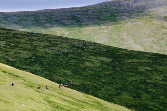 On the trail to Mtn. Belukha, Altai Republic, Siberia, Russia