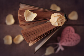 Close-up of an open old book, with a pink heart and a rose, on a dark blurred background. The concept of love for reading. View from above.