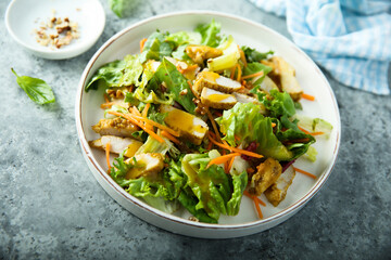 Leaf salad with chicken and mango sauce