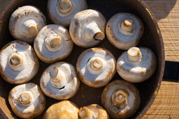 Shampynon barbecue is fried on charcoal. Preparation of mushrooms on the grill on skewers, raw and ready. Food on fire. High quality photo