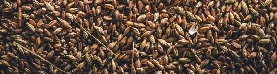 Horizontal abstract background from a mixture of cereals