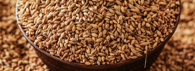 Horizontal Background A grain of wheat in a clay bowl
