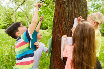 Obraz premium Boys pointing while friends drawing in books by tree