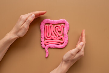 Human intestines colon organ shape with woman hands. Bowel disease concept