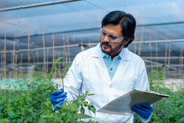 agro scientist busy working at greenhouse by noting down plant condition on clipboard - concept of...
