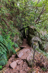 Levada do Furado hiking trail in Madeira