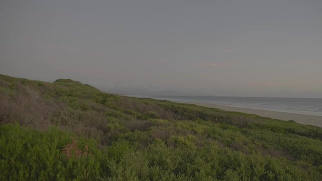 Slow Pan across wilderness coastline at dusk
