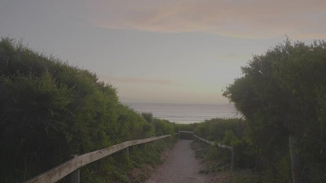 View to the ocean from a beach path