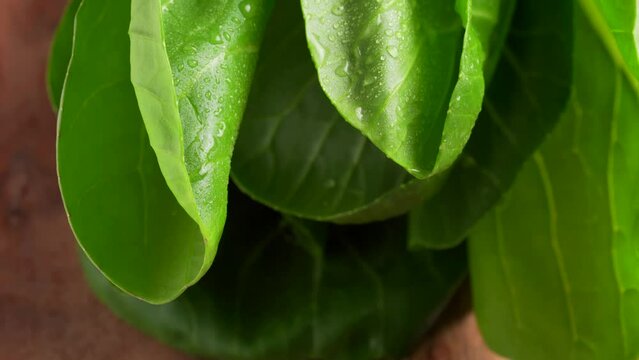 Fresh Pak choi on the cutting board. Bok choi cabbage on wooden background, top view. Macro shot