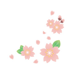 桜　挿絵