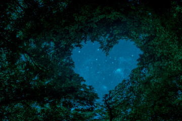 a panorama spring forest trees in the center of the heart on Valentine's Day