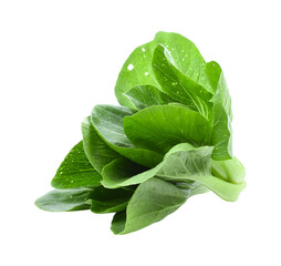 Bok choy (chinese cabbage) isolated transparent png