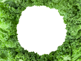Green kale. Lettuce leaves folded into a round frame. Framed with lettuce leaves. Isolated. Background of lettuce leaves. View from above. Space for text. Copy space