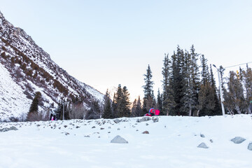 Snow capped mountains and fir trees in the winter park