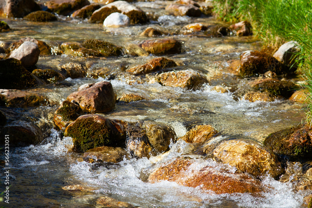 Wall mural small stream of water in a meadow