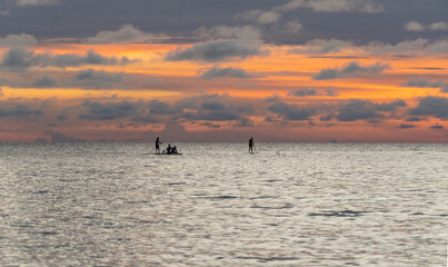 Fototapeta premium Silhouette of three people on Stand Up Paddle Board. SUP.