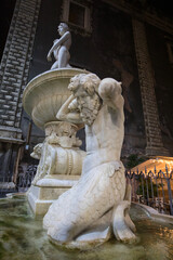 Fototapeta na wymiar The Fontana dell’Amenano, Catania