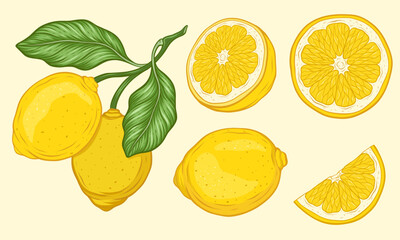  Set of lemons  vector colour illustration