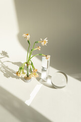 beautiful background with flowers for banner design.