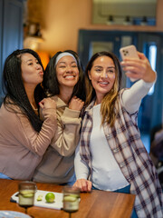 Female friends taking selfie at home