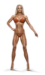 Stunning Female Bikini Fitness Model. Fitness and Figure Competition. Transparent PNG Full length...
