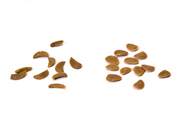 Close-up of two different types of persimmon seeds isolated